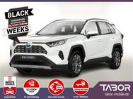 Toyota RAV 4, 2.5 Hybrid 222 ECVT AWD Team D el HK, Jahr 2024 - Kehl