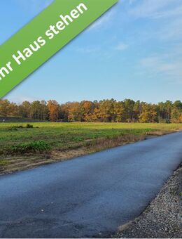 Inkl. Grundstücke, Ein Bungalow, der begeistert in Hodenhagen. - Hodenhagen