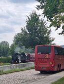 Reisebegleiter/in für Tagesfahrten ab Berlin gesucht. in 13129