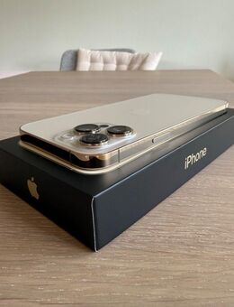 iPhone 13 Pro Max 256 GB Defekt für 280€ - Berlin