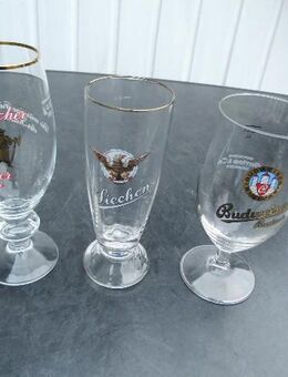 Dithmarscher Pilsener Siechen Budweiser Budvar Biergläser je 3,- - Flensburg