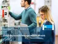 Global Key Account Manager Marine (m/w/d) - Offenburg