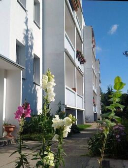 Schick sanierte 4-Raum-Wohnung mit Aussicht. - Klingenberg