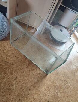 60 Liter Aquarium - Dürmentingen