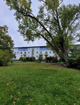 Modernes Single-Apartment in begehrter Altglienicke-Lage mit parkähnlichem Grundstück - Berlin
