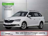 Skoda Fabia Combi 1.0 TSI Ambition //Klima/DAB/Alu - Thannhausen