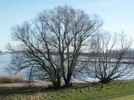 Besonderes Haus am Elbdeich in Seevetal-OT Over zu verkaufen - Seevetal