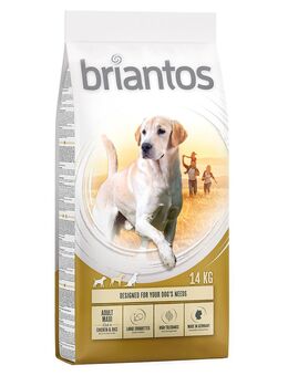 Briantos Sparpaket (2 x Großgebinde) - Adult Maxi (2 x 14 kg)