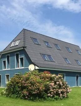 Exklusives Landhaus mit großer Scheune und viel Platz für Familie und Tiere - Klein Offenseth-Sparrieshoop