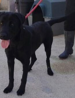 Mito ist gesellig - Donaueschingen