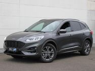 Ford Kuga, ST-Line, Jahr 2024 - Stutensee