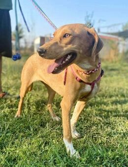 Yuki sucht ihre Herzensmenschen! - Oberhausen