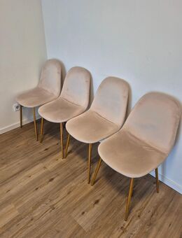 Esszimmerstuhl 4er Set aus Samt - Hamburg Hamburg-Nord