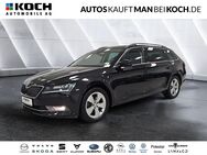 Skoda Superb, 2.0 TDI Combi SMART, Jahr 2018 - Neuruppin