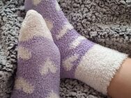 Kuschelsocken getragen - Mannheim