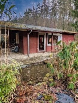 "Tiny-House" im Amorhof - Amorbach