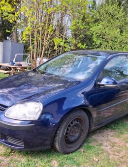 5er Golf - Müncheberg