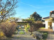 Panoramablick-Parkgrundstück mit Bestandsbungalow: Idyllische, ruhige Lage, Weinregion Bergstraße, auch Erweiterung oder Neubau möglich. - Zwingenberg (Hessen)