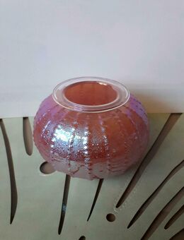 Partylite Teelichthalter Seestern pink perlmutt Kerzenhalter - Frankfurt (Main) Zeilsheim