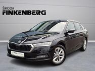 Skoda Octavia, 2.0 TDI Combi Style, Jahr 2024 - Verden (Aller)