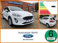 Ford Fiesta 1.0 EcoBoost S/S Titanium DynLi SpurH LM - Grimmen