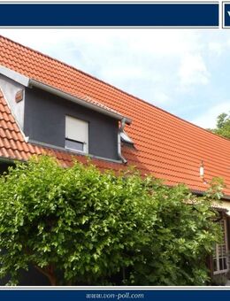 Gepflegtes Einfamilienhaus mit Einliegerwohnung und Landwirtschaftlichen Grundstück - Steinmauern