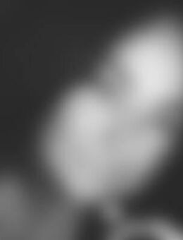 Dan*** - Schweinfurt