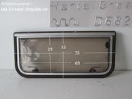 Hobby Wohnwagenfenster Hartal gree D682 gebr. ca 75 x 35 bzw 69 x 29 (zB Hobby Prestige BJ 77) Sonderpreis - Schotten Zentrum