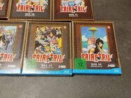 Fairy Tail Serien - Wiesenthau