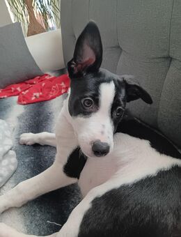 Süßer Ein bubele - Heiligenhaus