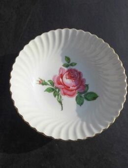 AK Kaiser Porzellan Schale 13 cm Rose Goldrand 1 Dessertschale 4,- - Flensburg