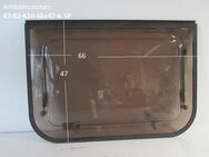 Knaus Azur Küchenfenster (Knaus10 D 690 8205) ca 66 x 47 Sonderpreis (zB 425 Typ 4303) - Schotten Zentrum