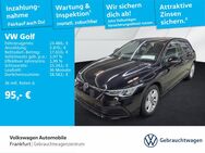 VW Golf, 2.0 TDI VIII Life, Jahr 2024 - Frankfurt (Main)