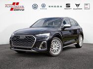 Audi SQ5, 3.0 TDI AlD, Jahr 2022 - Wittenberge