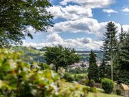 IDYLLISCHE OASE AM HANG MIT BLICK AUF DIE LEUCHTENBURG - Kahla