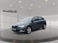 Skoda Fabia, 1.0 MPI Cool Plus, Jahr 2019 - Bad Arolsen