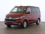 VW T6 California, 1 Ocean, Jahr 2023 - Laupheim