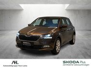 Skoda Fabia, 1.0 TSI Soleil, Jahr 2019 - Einbeck