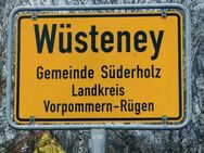 Ihr neues Zuhause im Gutshaus Wüsteney in der Gemeinde Süderholz! - Süderholz