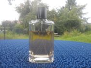 " ORIENTAL " ZARA . 200 ml . Eau de Toilette . - Lehrte