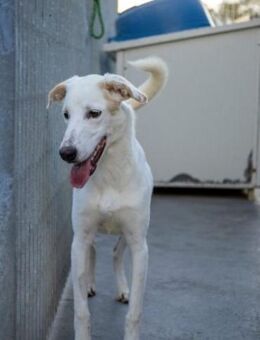 Marilia - ein Clown braucht Zeit - Niddatal