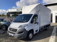 Fiat Ducato, 3.5 Koffer Ladebordwand to zzG, Jahr 2016 - Münster