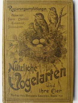 Köhlers nützliche Vogelarten und ihre Eier. Ornithologie, um 1905 - Königsbach-Stein