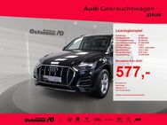 Audi Q5, 40TDI quattro Advanced, Jahr 2023 - Wolfhagen