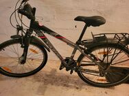 Fahrrad Damenrad Herrenrad - Langenhagen
