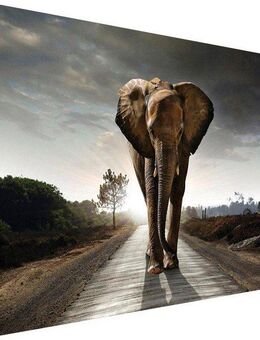 Reinders! Wandbild Elefant König