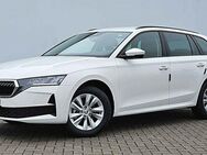 Skoda Octavia, 2.0 TDI IV Combi Selection SELECTION, Jahr 2024 - Bützow