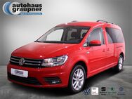 VW Caddy, 2.0 TDI Maxi Comfortline, Jahr 2019 - Brandis