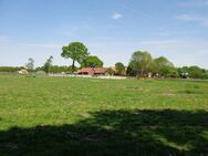 Toller Reiterhof unverbaubaren Ausblick in die Natur - Steyerberg