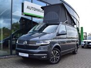 VW T6 California, 6.1 Ocean, Jahr 2024 - Verden (Aller)